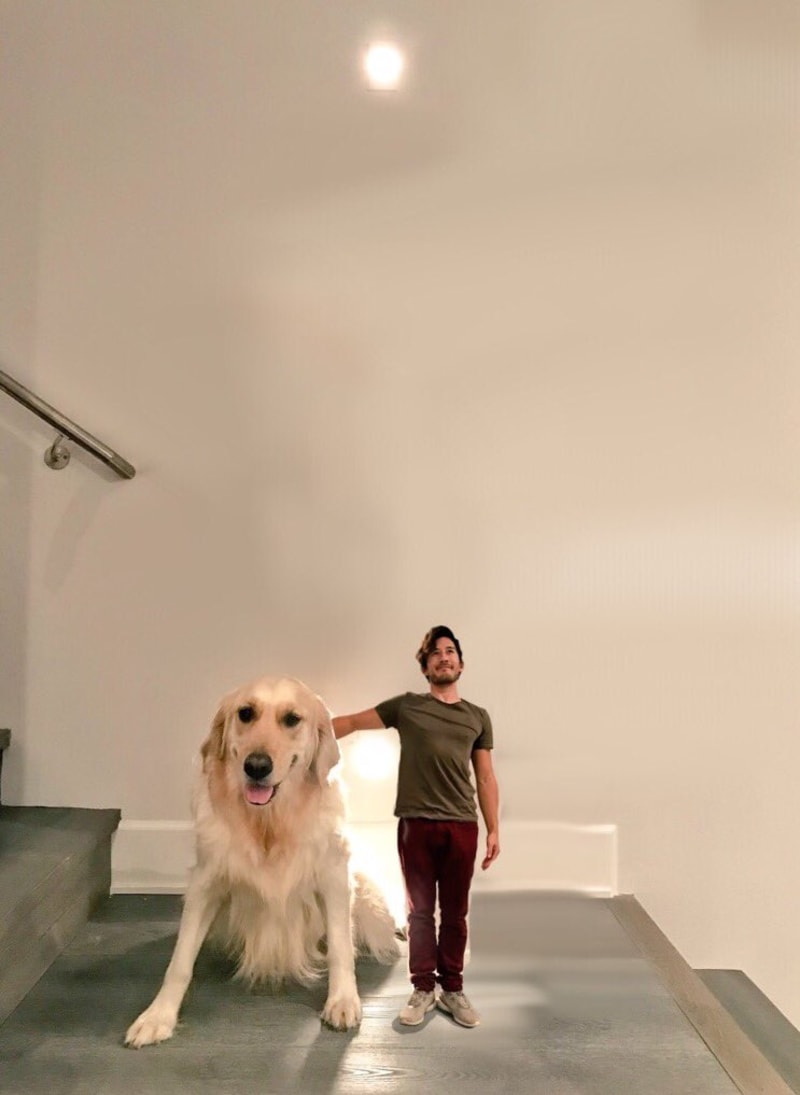 YouTuber chtěl upravit fotku sebe a svého psa - Obrázek 11