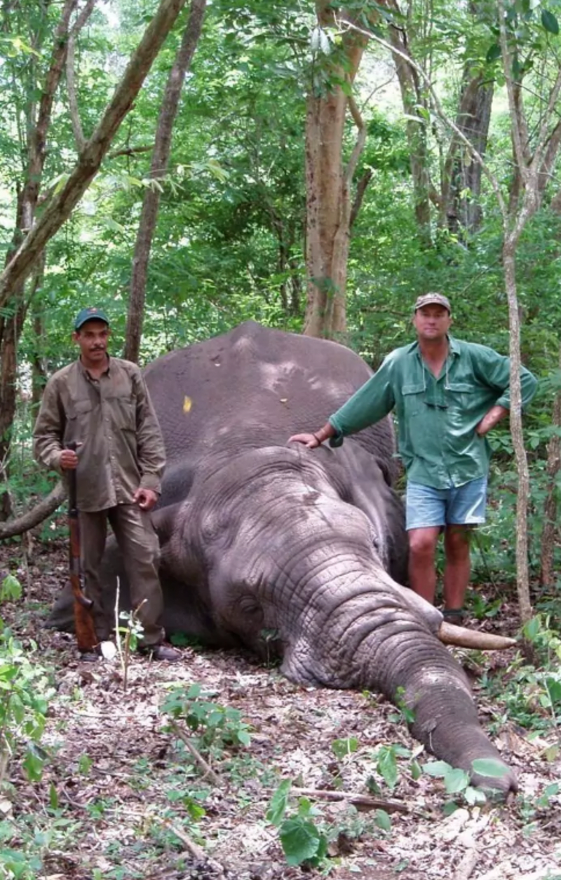 Theunis Botha (napravo) byl také zabit slonem.