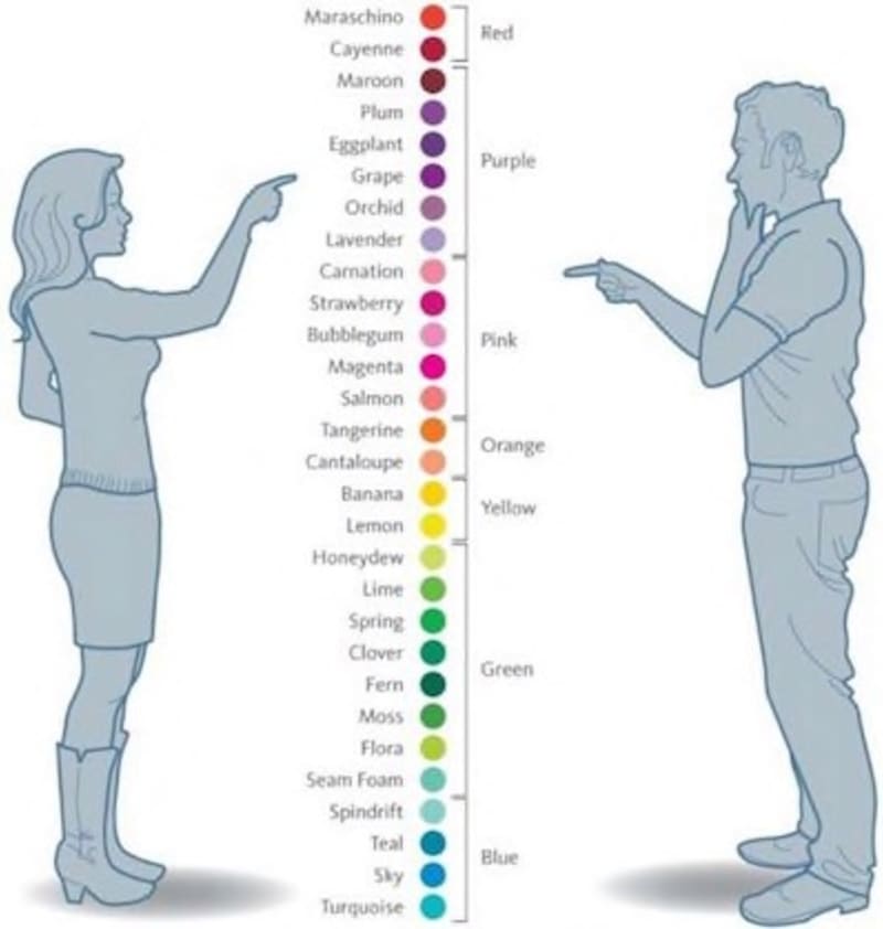 Jak vidí jednotlivé pohlaví barvy.