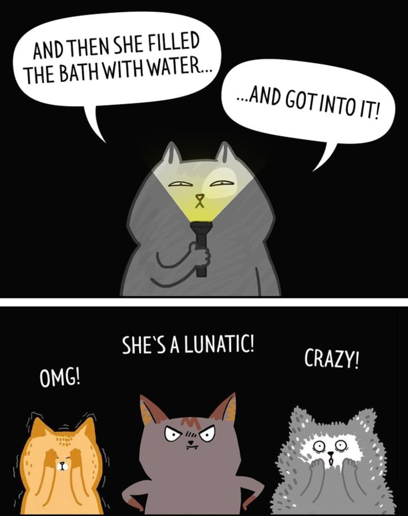 Pravdivé ilustrace ze života s kočkami 14