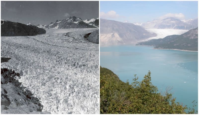 Muirův ledovec, Aljaška, 1941 a 2004