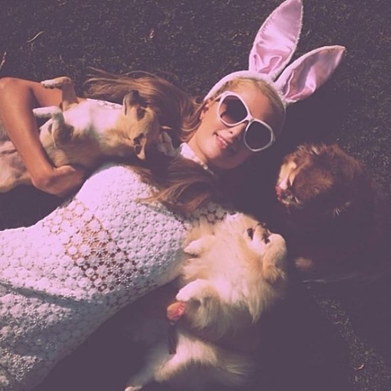 Paris Hilton se svými psími miláčky