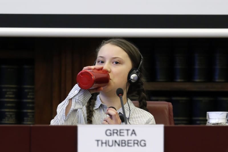 Greta Thunberg (16)