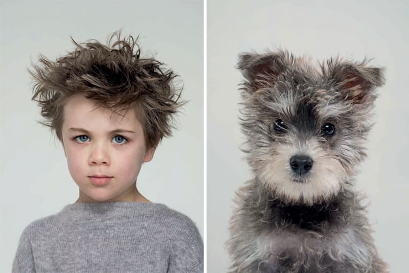 Portréty lidí a jejich psů 1