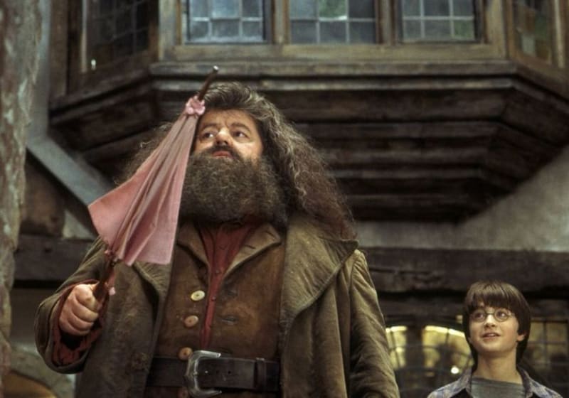 Hagridův deštník