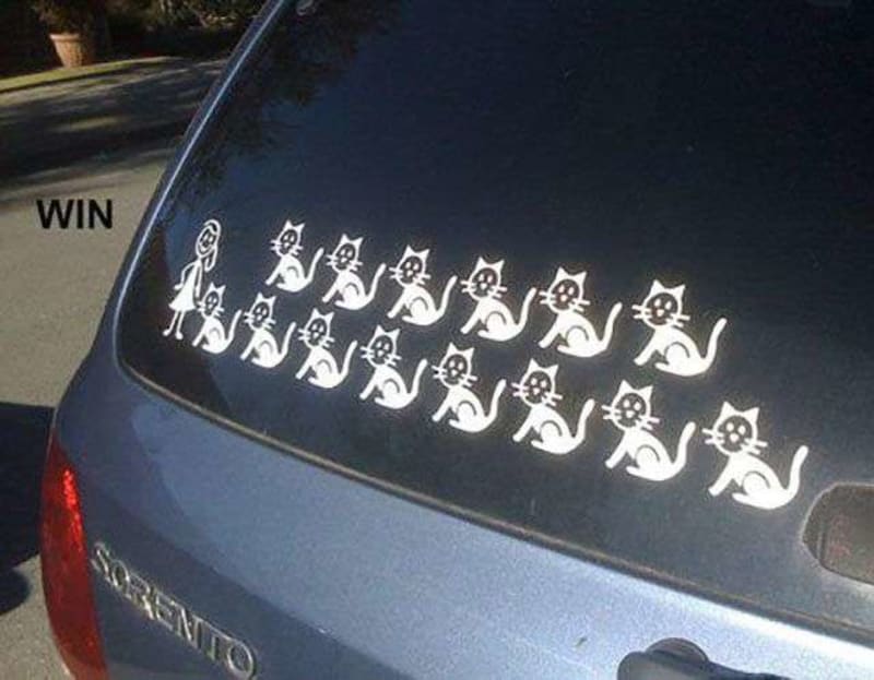 Kočičí máma i na autě.