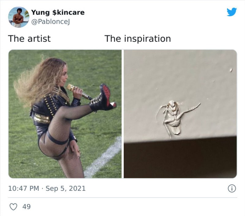 Fotka švába se stala hitem internetu