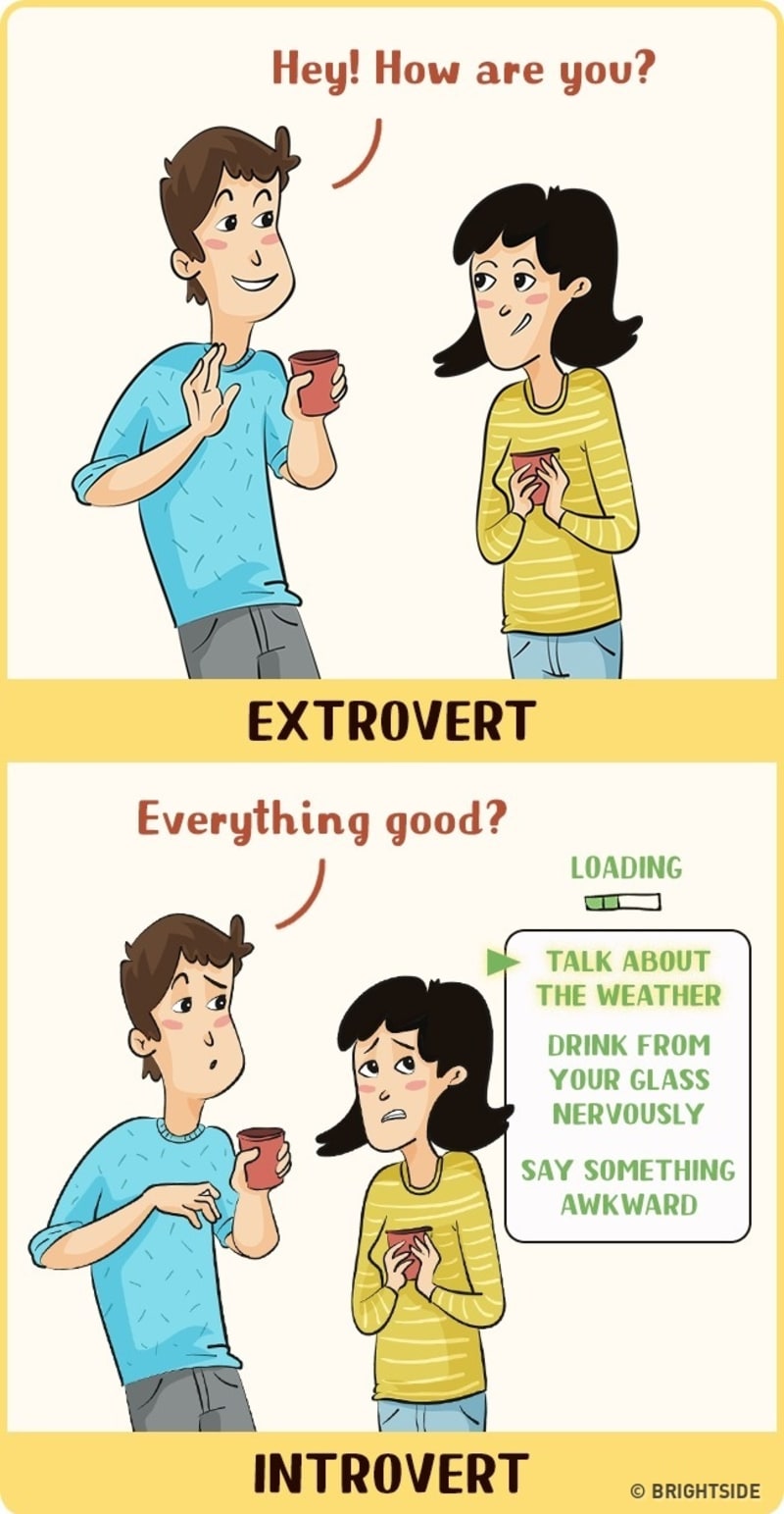 Rozdíl mezi extroverty a introverty 2