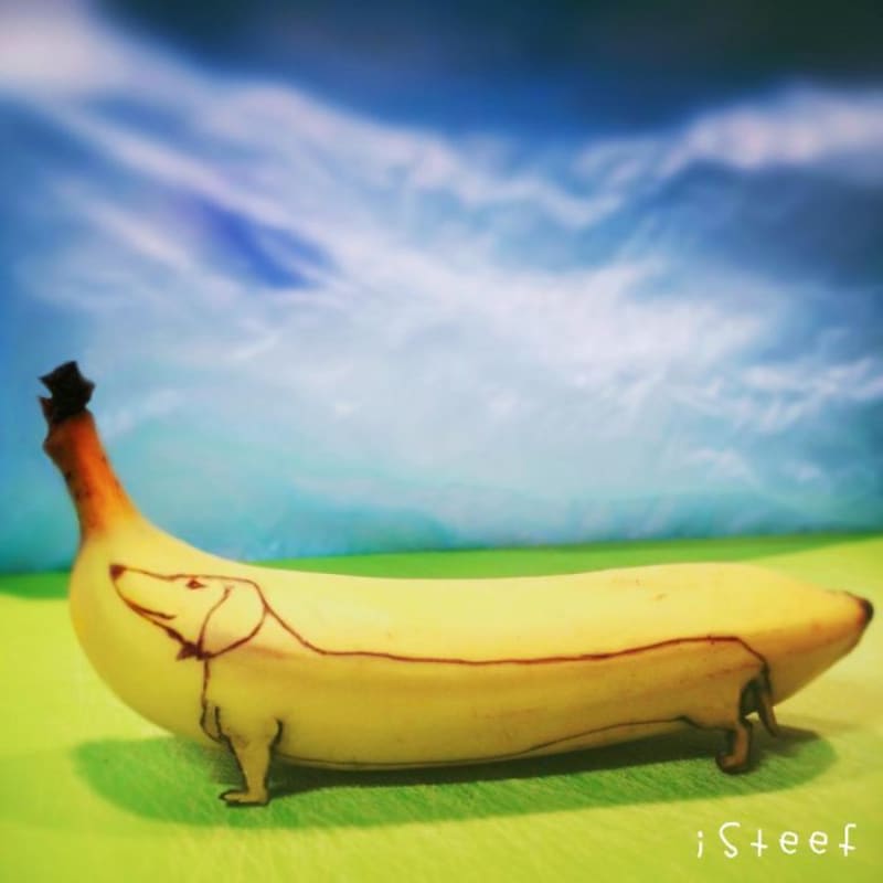 Banány jako umělecká díla - Obrázek 19