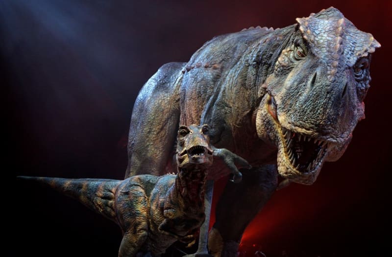 Archeologové objevili na Aljašce menšího bratrance Tyrannosaura Rexe. Říká se mu Nanuqsaurus a je 70 milionů let starý.
