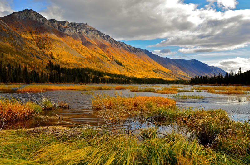 Yukon - odlehlá kanadská provincie je bohatá na život i přírodní materiály