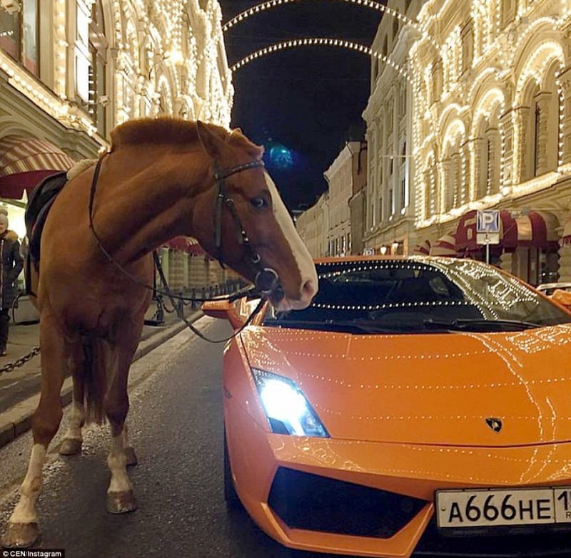 Copak je asi fotografa? Auto nebo kůň? Nebo snad obojí?