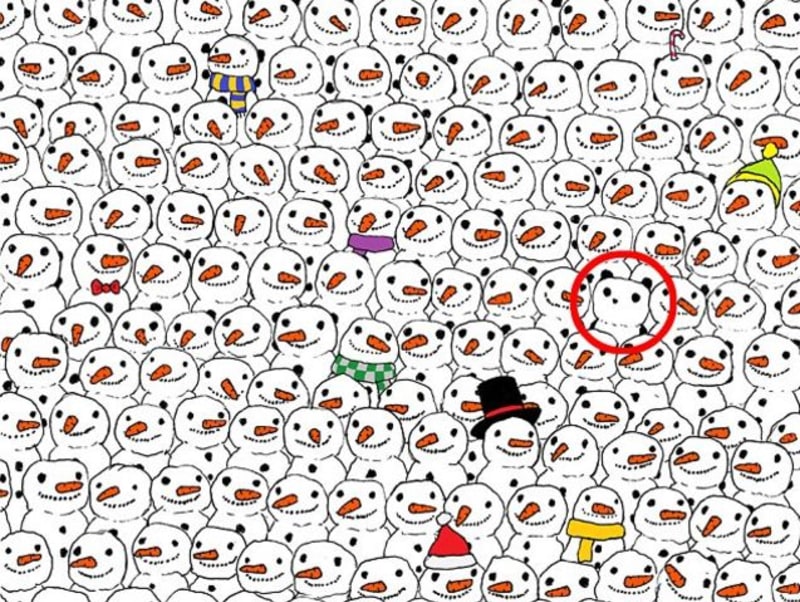 Optická hádanka - Panda a sněhuláci 2