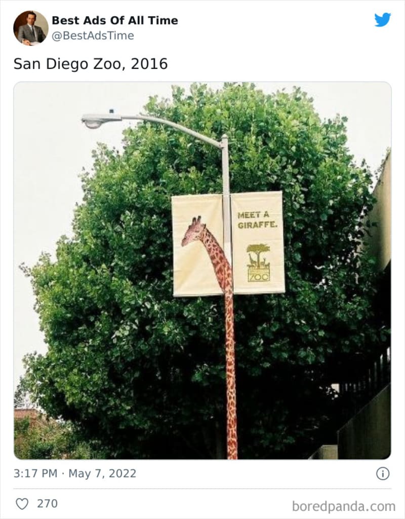 Seznamte se s žirafou. San Diegská zoo.