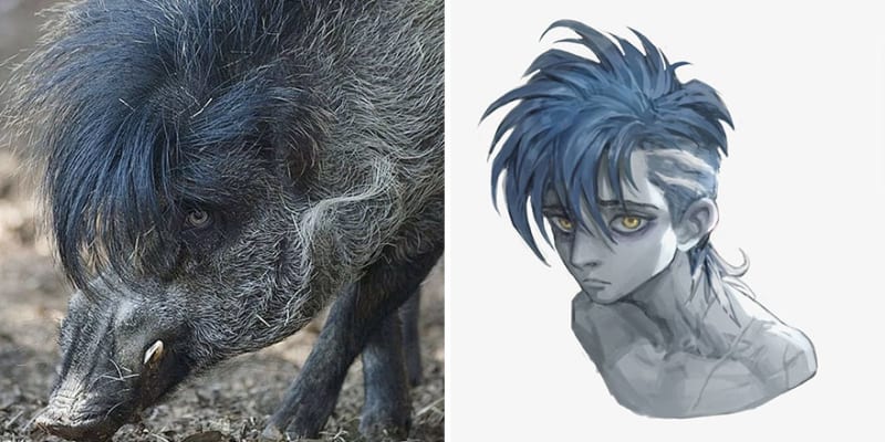 Umělec přetváří zvířata na anime postavy 13