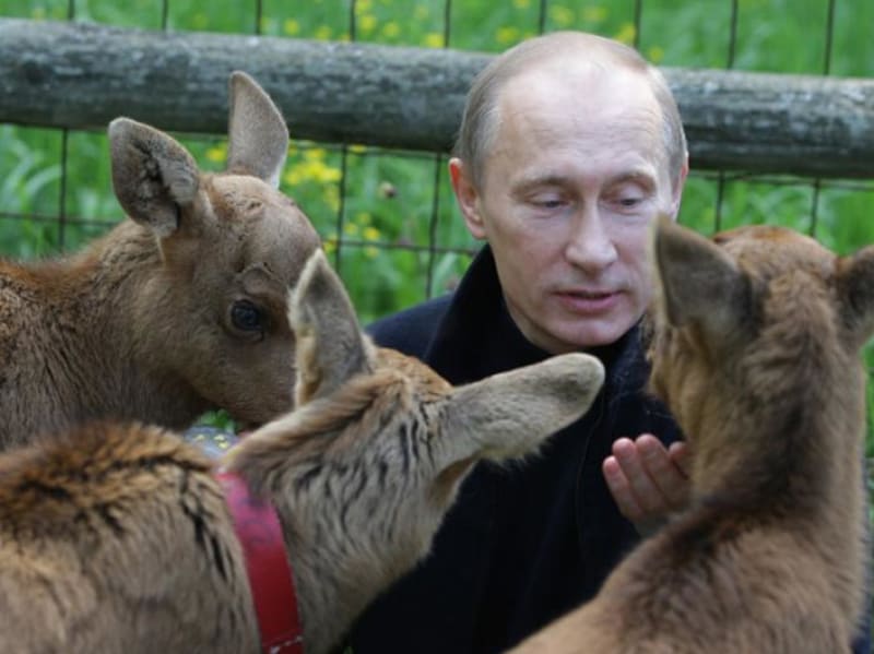 Ruský prezident Vladimír Putin se s velkou oblibou fotí s různými zvířaty - Obrázek 5