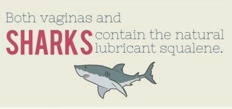 Vagíny, ale také žraloci obsahují uvnitř přírodní lubrikant skvalen