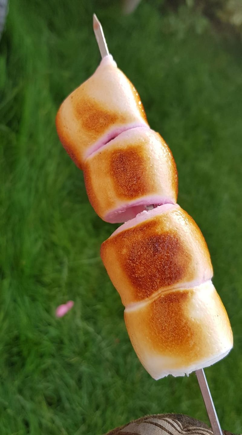 Opečené marshmallow vypadá jako pečené maso