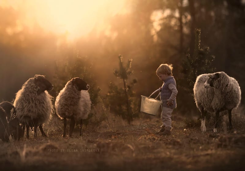 Maminka fotí své dvě děti na farmě, kde žijí - Obrázek 22
