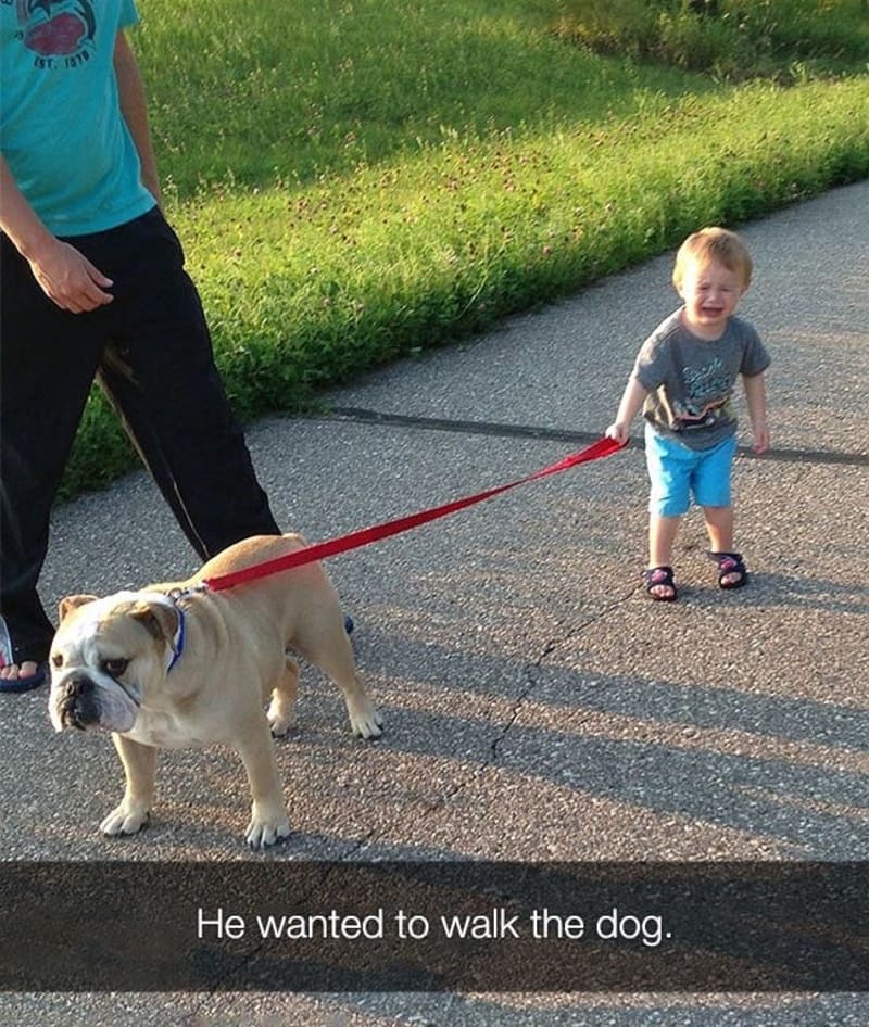 Když dítě chce venčit psa, ale vypadá to spíš naopak.