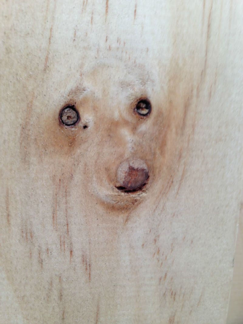 Je to dřevo, nebo pes?