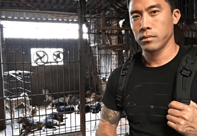 Marc Ching zachraňuje zvířata ze psích trhů - Obrázek 12