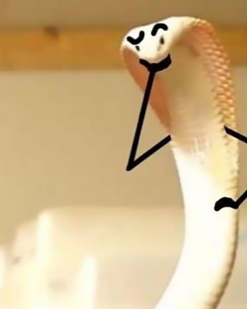 Hadi s dokreslenými částmi těla 5