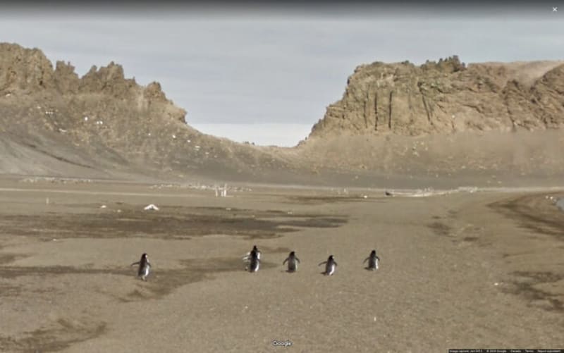 Epické snímky z Google Street View 9