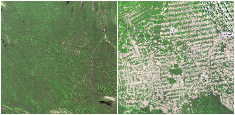 Les Rondonia, Brazílie, 1975 a 2009