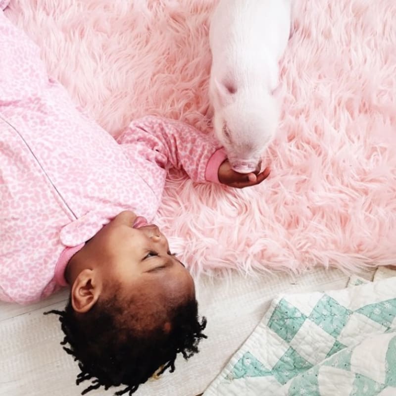 Přátelství malé černošské holčičky a jejího růžového prasátka - Obrázek 17