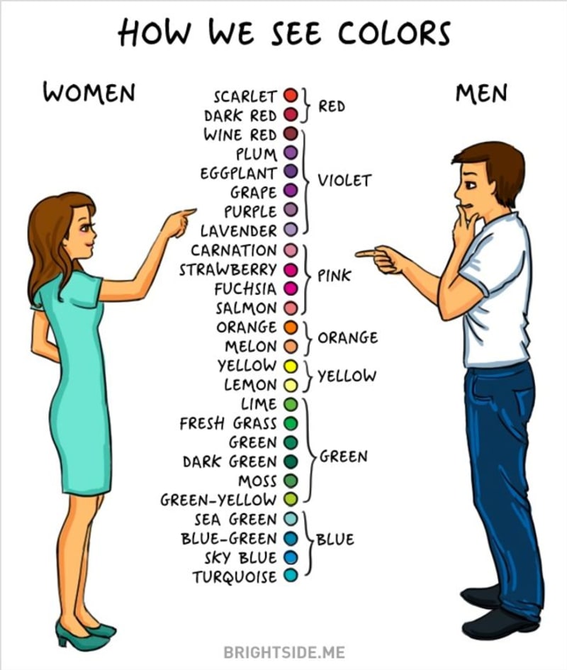 Rozdíly mezi mužem a ženou 4