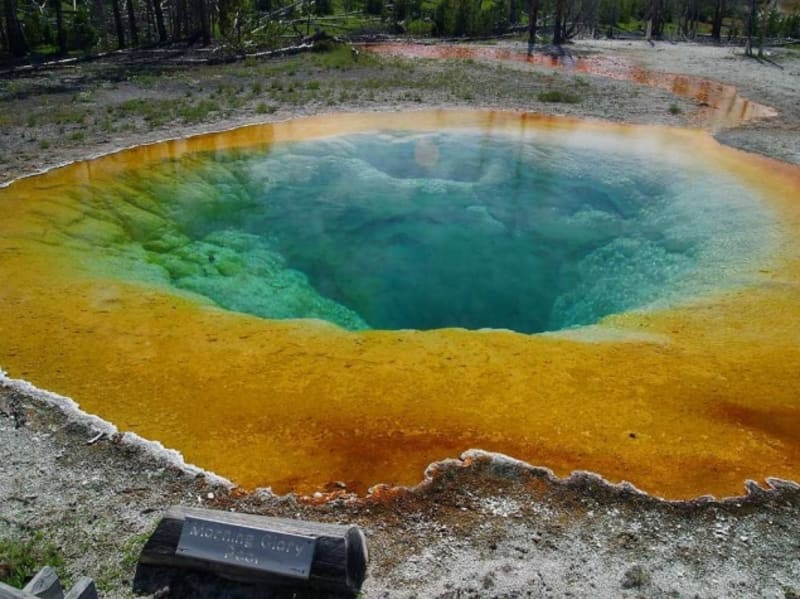 Morning Glory Pool, horký pramen, Yellowstonský národní park, USA