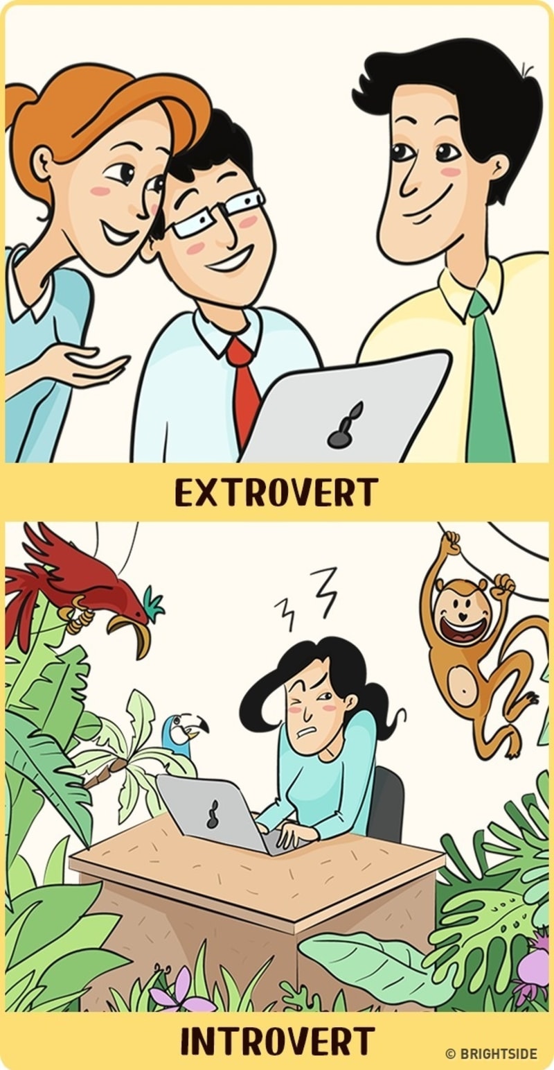 Rozdíl mezi extroverty a introverty 5