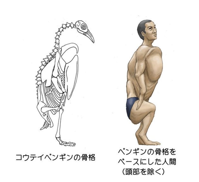 Jak by vypadali lidé s anatomií zvířat? 4