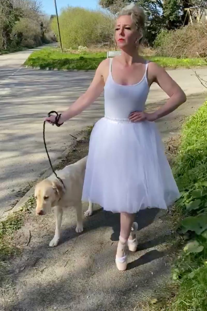 Žena chodí venčit psa v šílených oblečcích  5