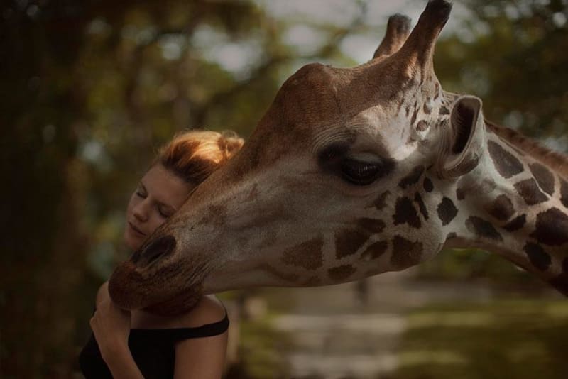 Ruská fotografka Katerina Plotnikova se věnuje jedinečným fotografiím s reálnými zvířaty...