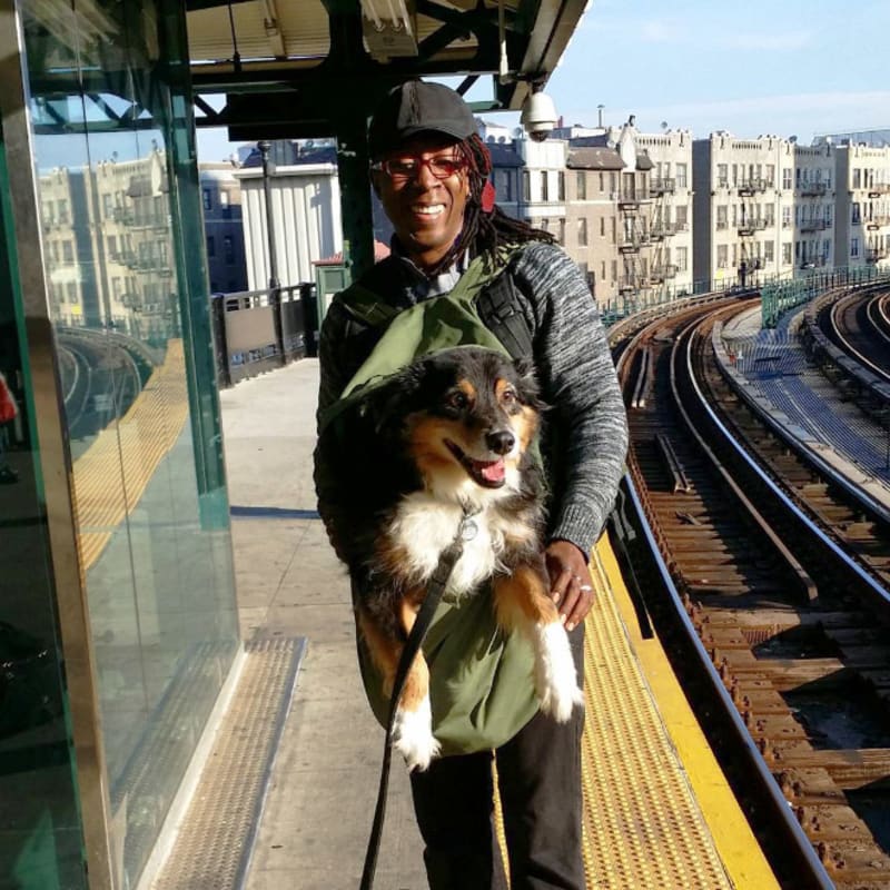 Pejskaři geniálně obešli zákaz psů v metru 9