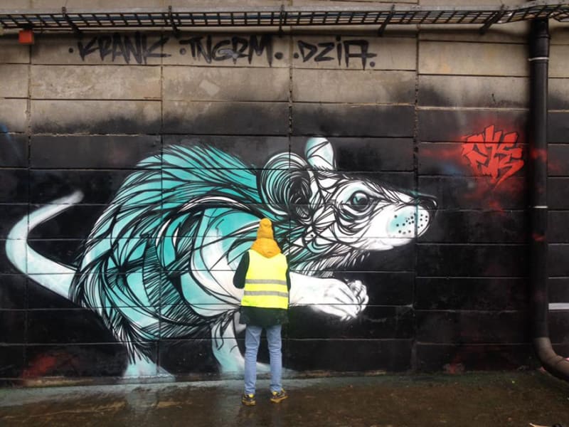 Geometrické zvířecí street art: Oživení pro opuštěná místa - Obrázek 13