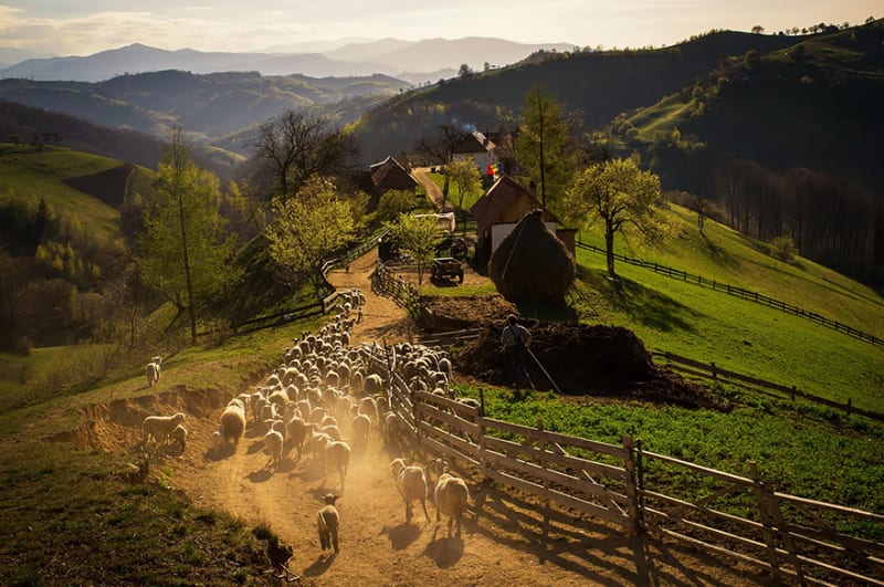 Jarní odpoledne ve vesnici Holbav v rumunských kopcích