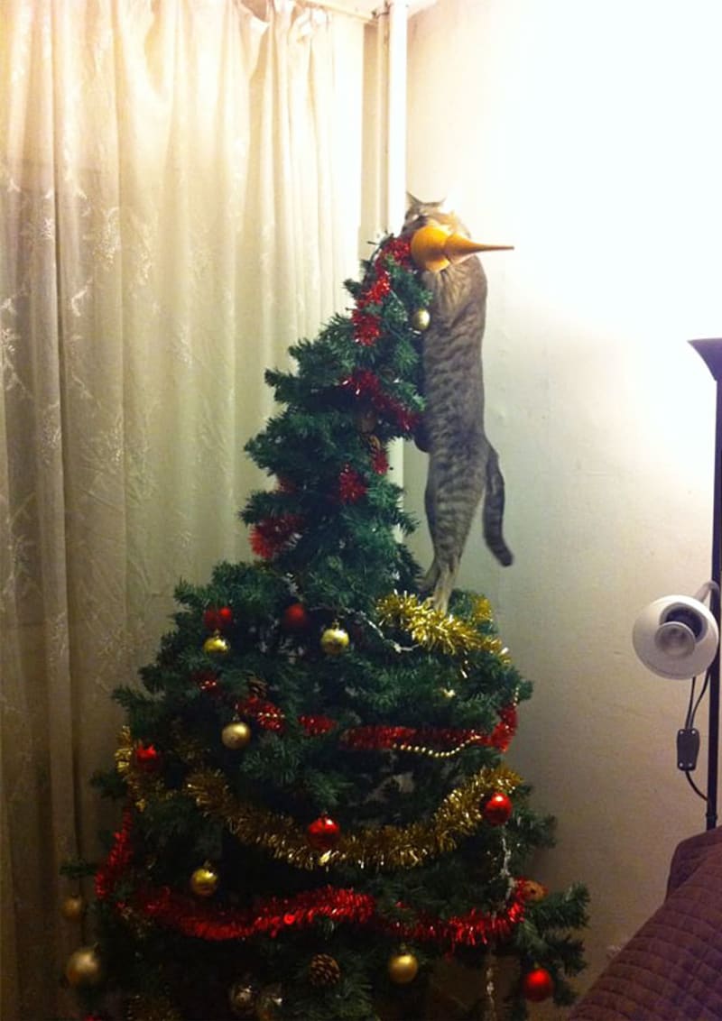 Zvířata ničí vánoční stromeček 2