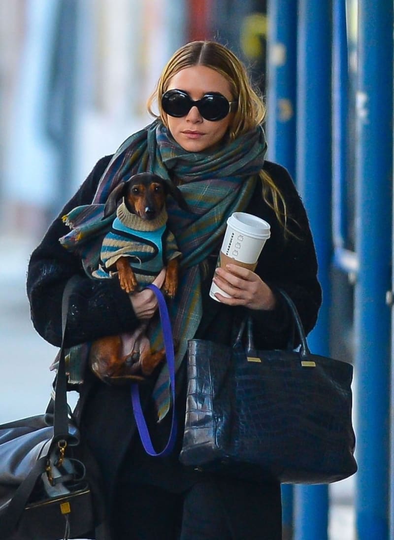 Ashley Olsen vzala pejska na procházku po New York City