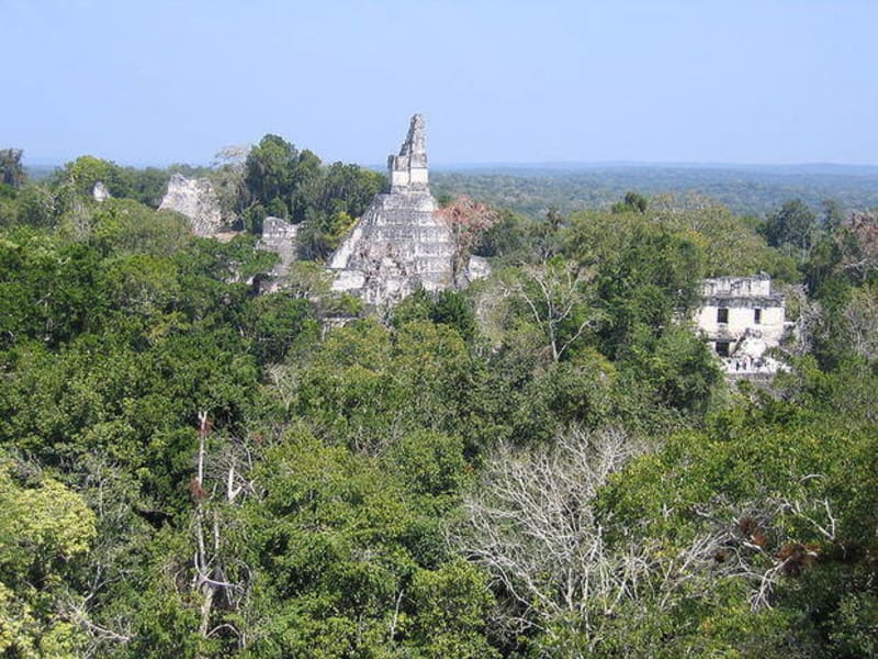 V jednom z dílů Hvězdných válek se objevuje zřícenina mayského chrámu v národním parku Tikal v Guatemale