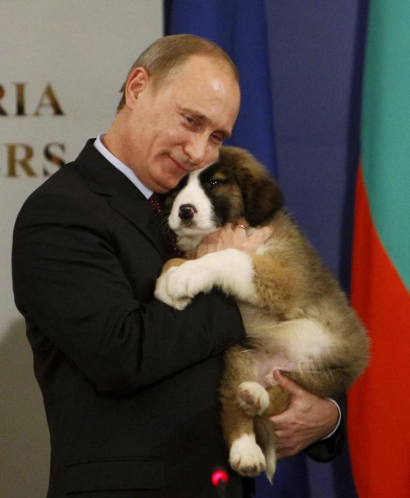 Prezident Putin: Mrkněte, jak se lísá. Dáš si jed pejsánku?