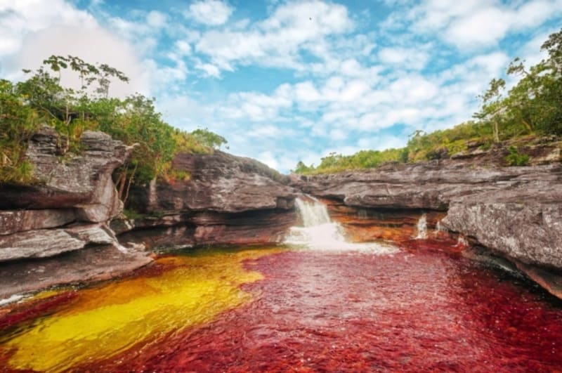 Caño Cristales je kolumbijská řeka, nachází se v provincii Serrania de la Macarena Meta, Kolumbie