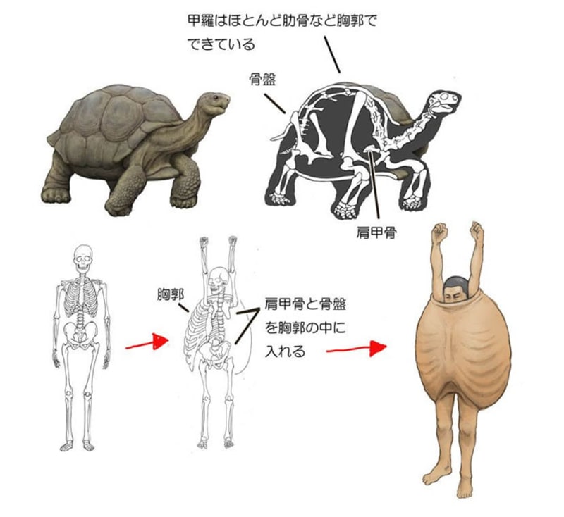 Jak by vypadali lidé s anatomií zvířat? 1