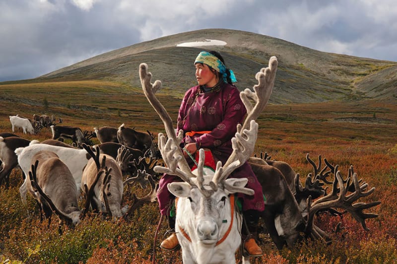 Každodenní společný život sobů a lidí z Mongolska - Obrázek 1