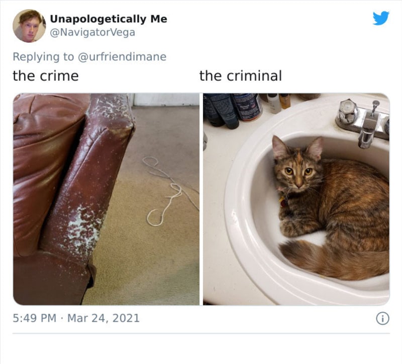 Zvířecí zločiny 13