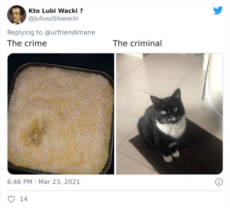 Zvířecí zločiny 15