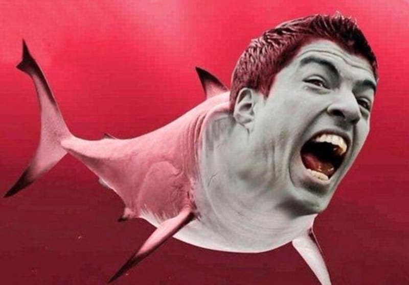 Žralok Luis Suaréz je jen jednou z upravených fotek, které fanoušci vymysleli.