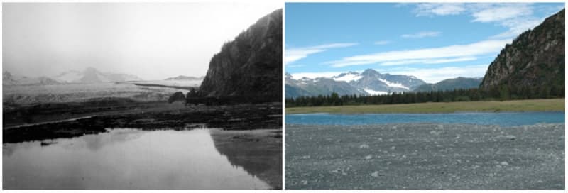 Medvědí ledovec, Aljaška, 1909 a 2005